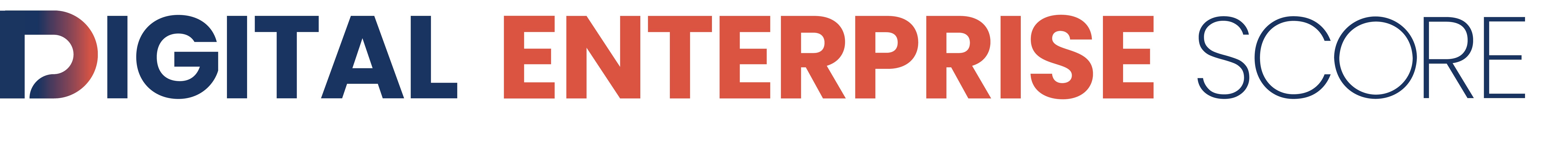 Digital Enterprise Score